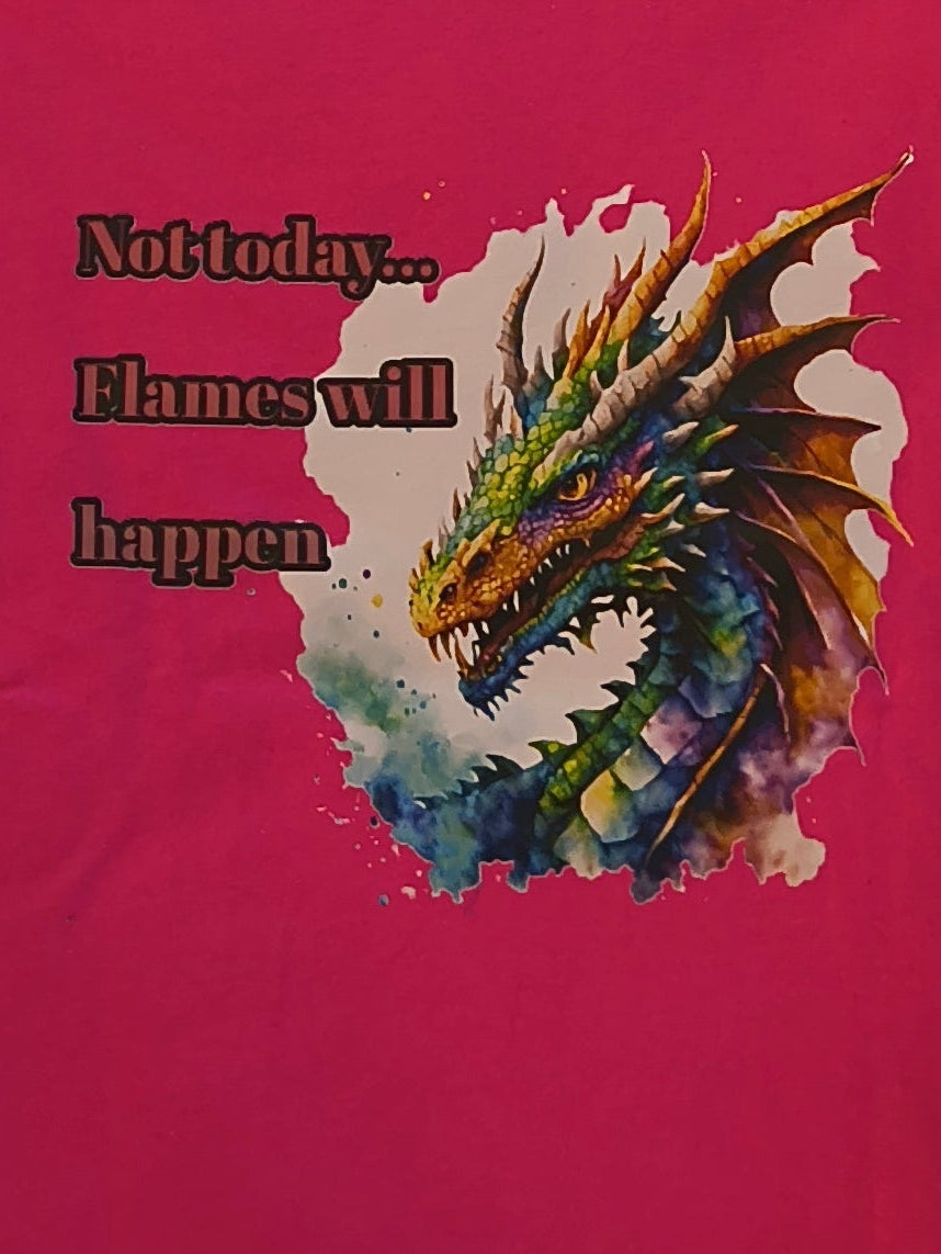 Short Sleeve T-Shirt, Pink, graphic of Dragon stating, "Not Today Flames will Happen", with multi color blue  edging on arms and hem
